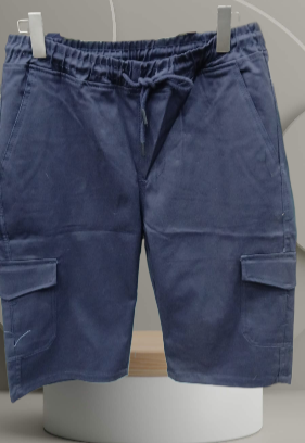 Casual Shorts N101